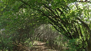 Foto Georgi-Panoramaweg